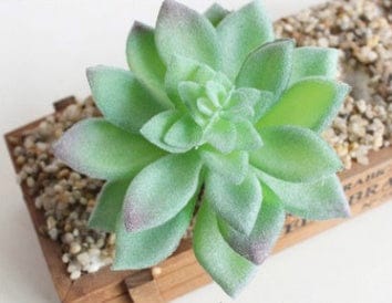 Indoor Succulent Green Plants Simulation Plants Decorative Flowers And Plants - Image 2