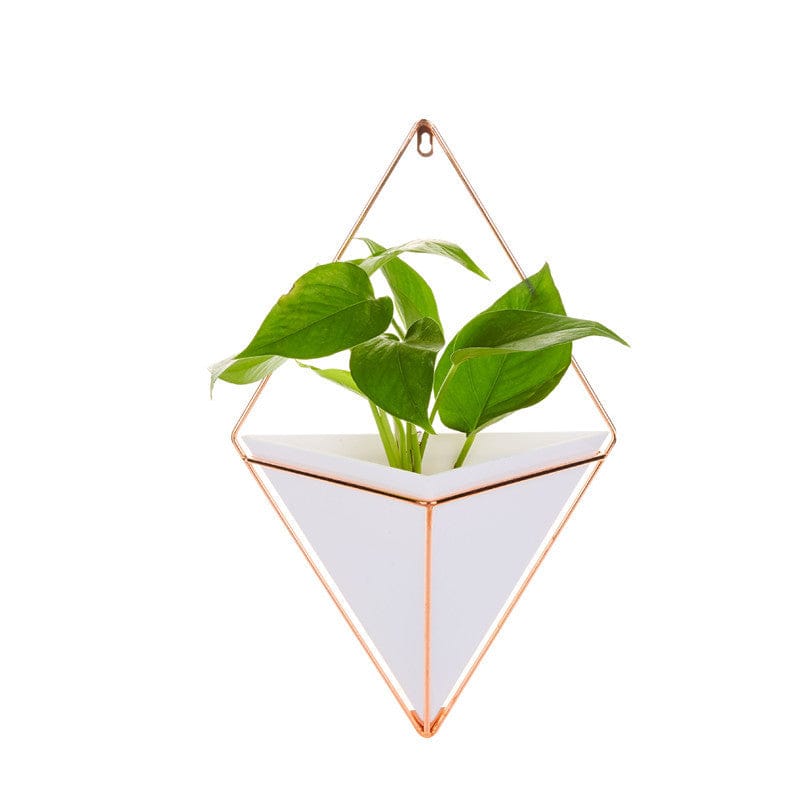 Metal Flower Pots for Planting Reinforcement Ins Iron Potted Plants - Image 3