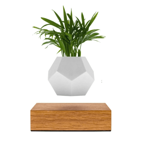 Lyfe Planter - Image 13