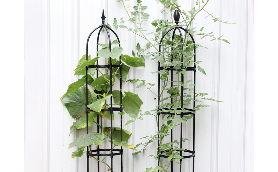 Metal Plant Flower Trellises for Clematis Garden Trellis for Climbing Plants