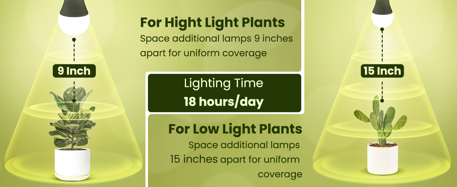 full spectrum light bulb