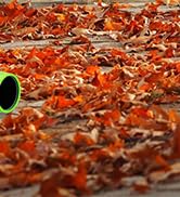 Flat Bend Nozzle for Milwaukee M18 Fuel Leaf Blower, Work for Milwaukee M18 2724-20 & 2724-21, Le...