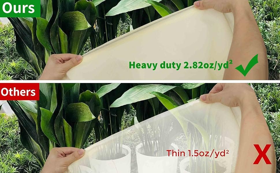 Plant Covers for Winter