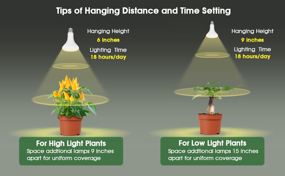 grow light bulb for plants