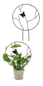 Small Metal Garden Trellis with Butterfly
