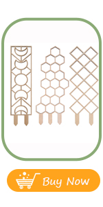 Plant Trellis for Climbing Plants