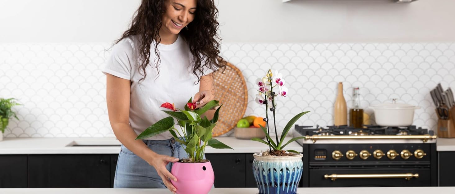 orchid pot mix soil repotting fertilizer succulent clear pots planter slotted indoor container food