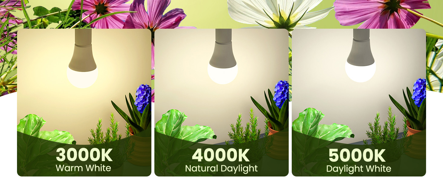 grow bulbs for indoor plants