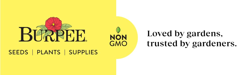 indoor, indoor plants, organic, garden, coco coir, herb garden, peat moss, coconut coir, seed start