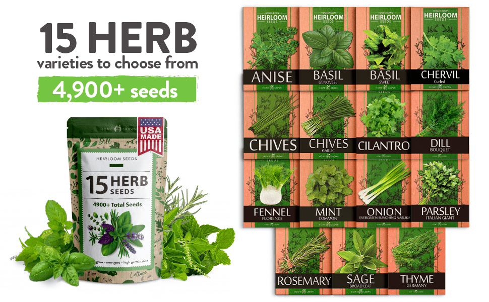 Heirloom Herb Seeds - Anise, Basil, Chervil, Chives, Cilantro, Dill, Fennel