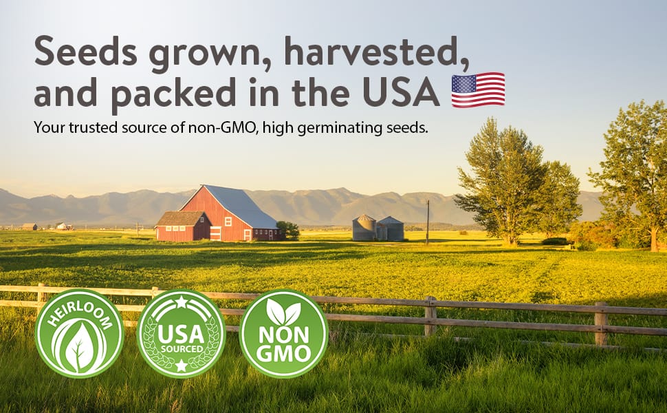 Herb seeds USA