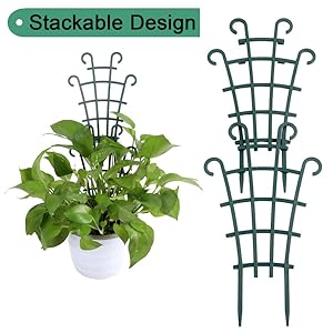 pot trellis for climbing plants