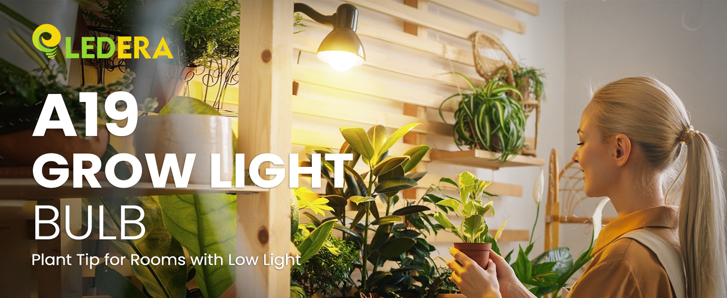 grow light bulbs
