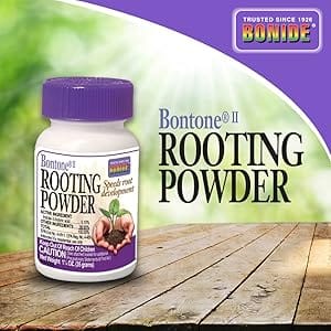 bontone rooting powder