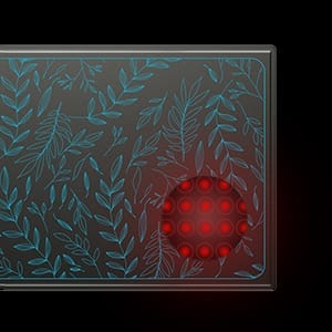 SUNCORE Seedling Heat Mat Indoor Home Gardening Hydroponic Germination Propagation Cloning