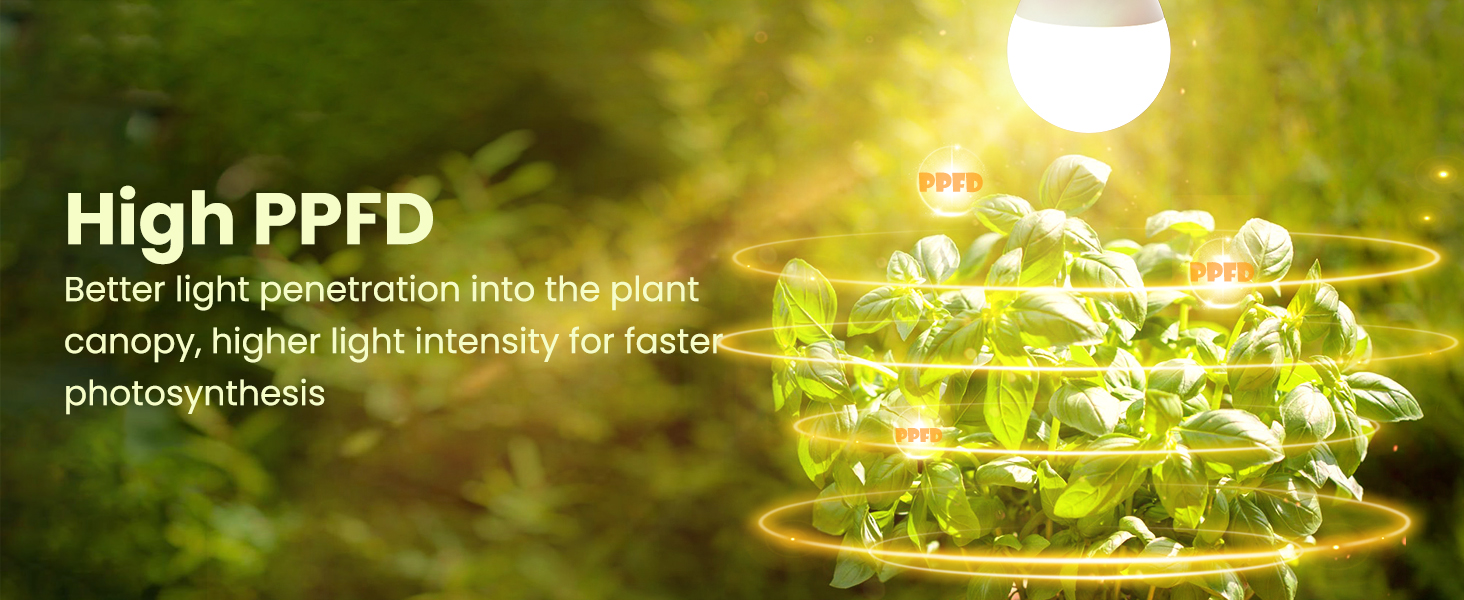 grow light bulb