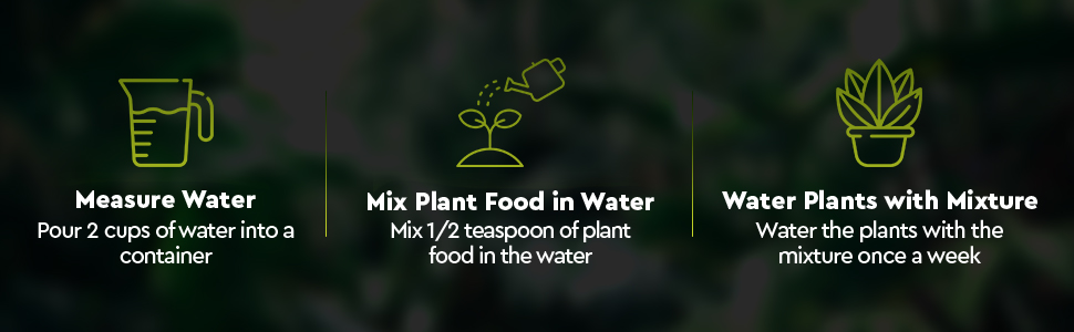 Easy Instructions for easy plant care of all indoor houseplants with safe indoor plant fertilizer