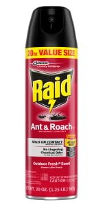 Roaches, Ants, Silverfish, Crickets, Earwigs, Household Spiders, Multicolored Asian Lady Beetles