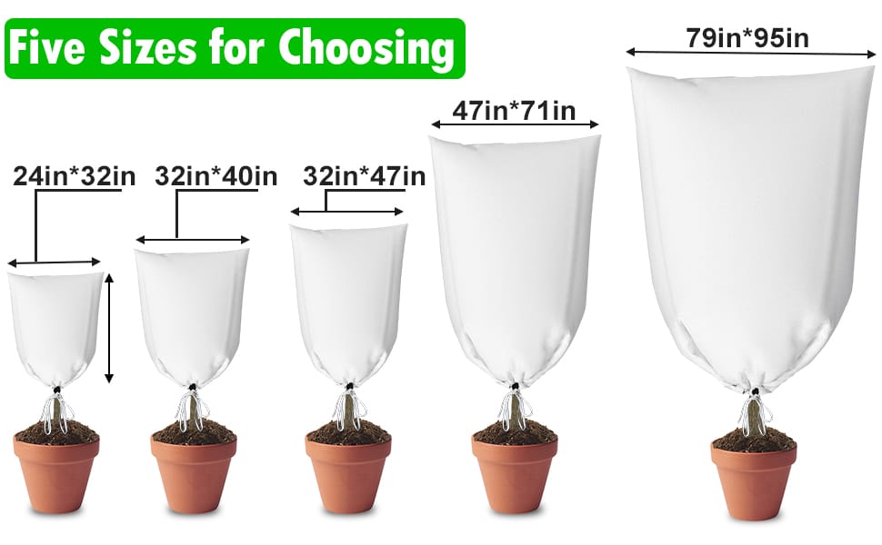 winter freeze plant protection