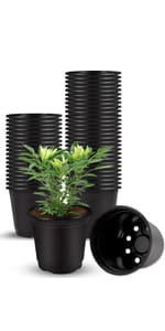 Plant pot
