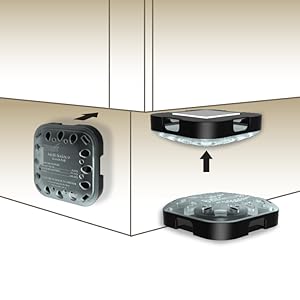 roach trap, roach bait