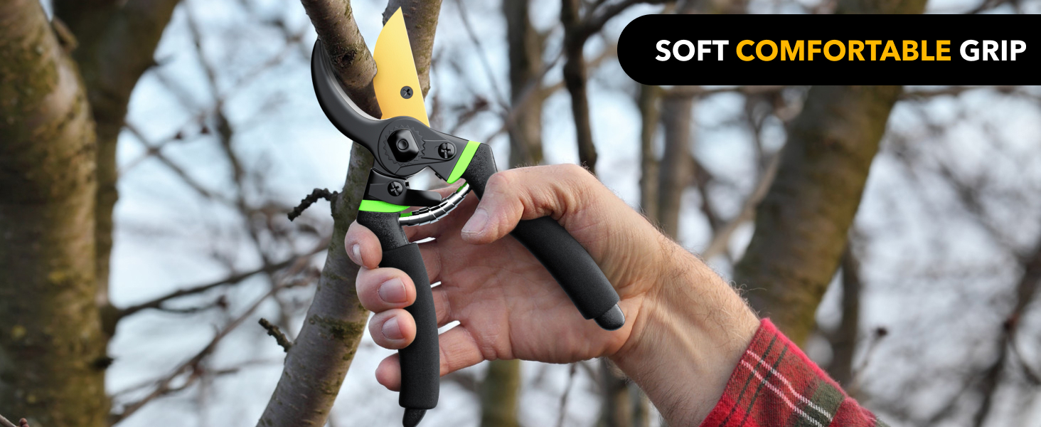 Pruning Shears