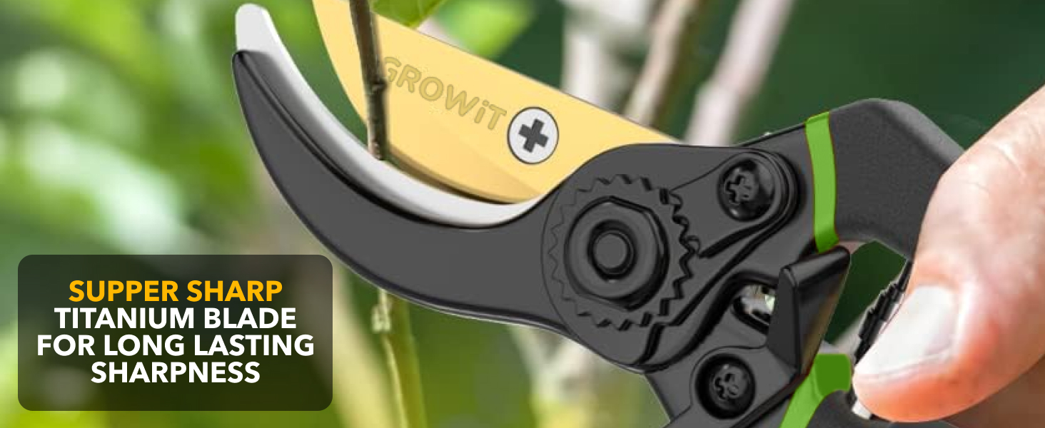 Pruning Shears