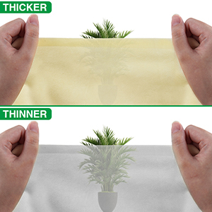 plant cover
