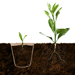 Organic & Bio.degradable