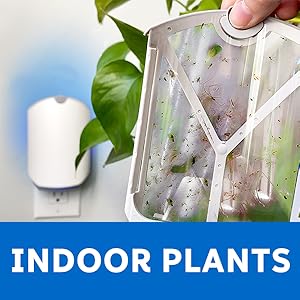 zevo, trap kit, Electric Flying Insect Trap