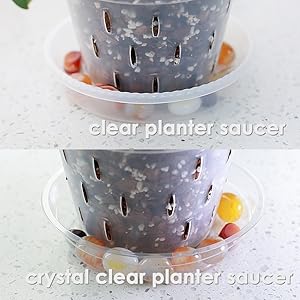 clear planter saucer