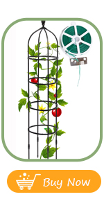 garden trellis