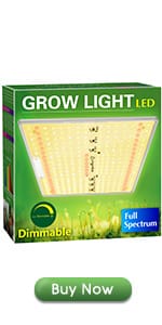 grow lights for indoor plants