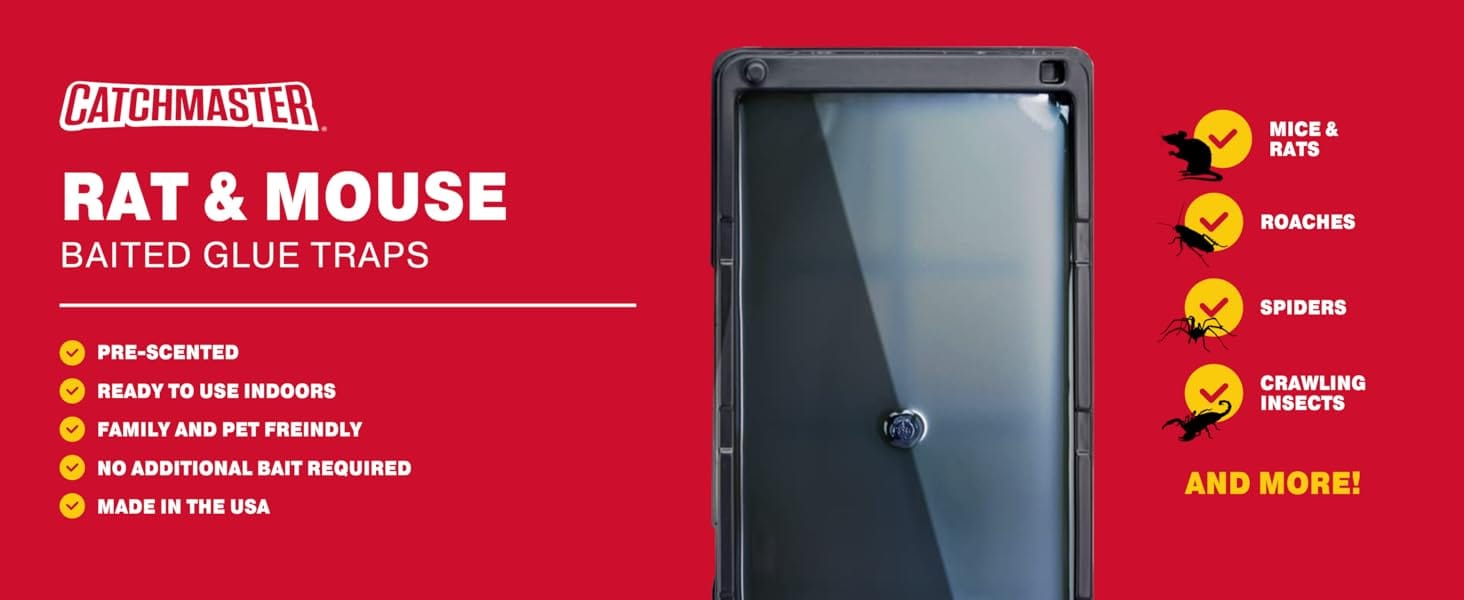 rat mouse baited glue trap