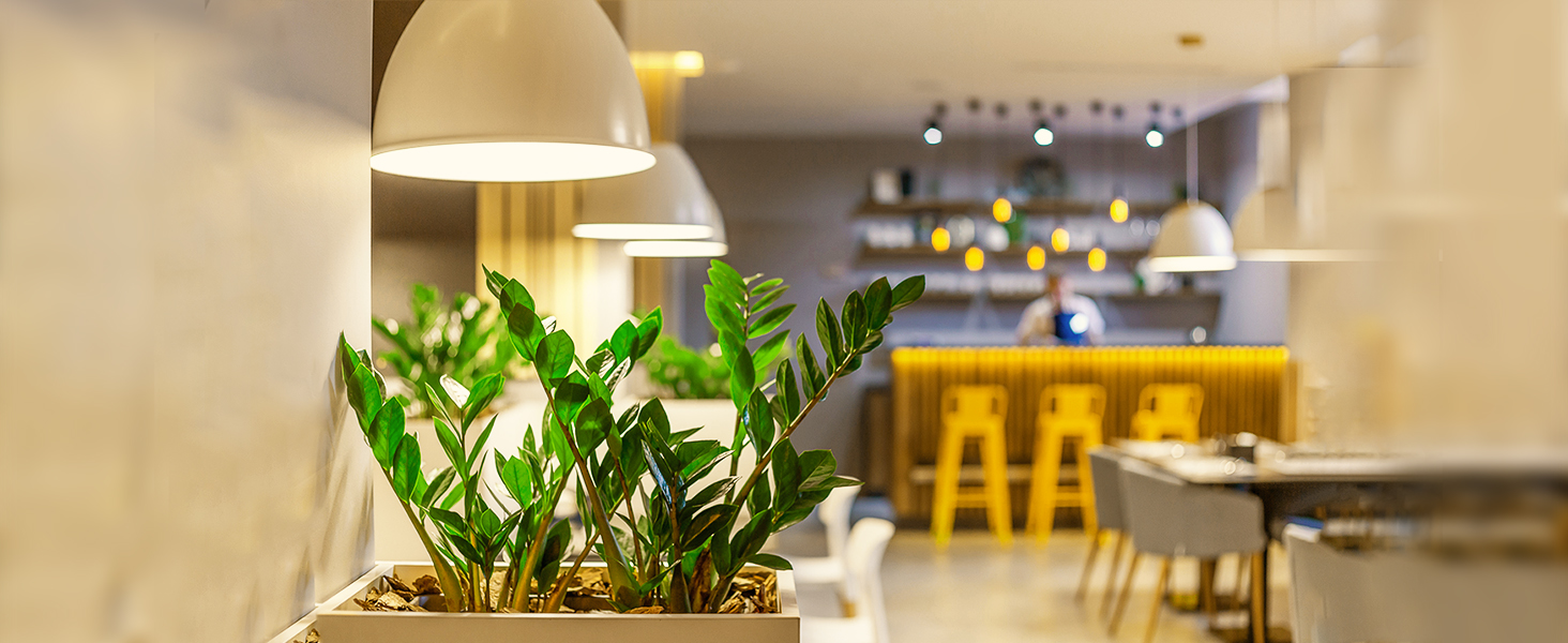 grow light bulbs e26