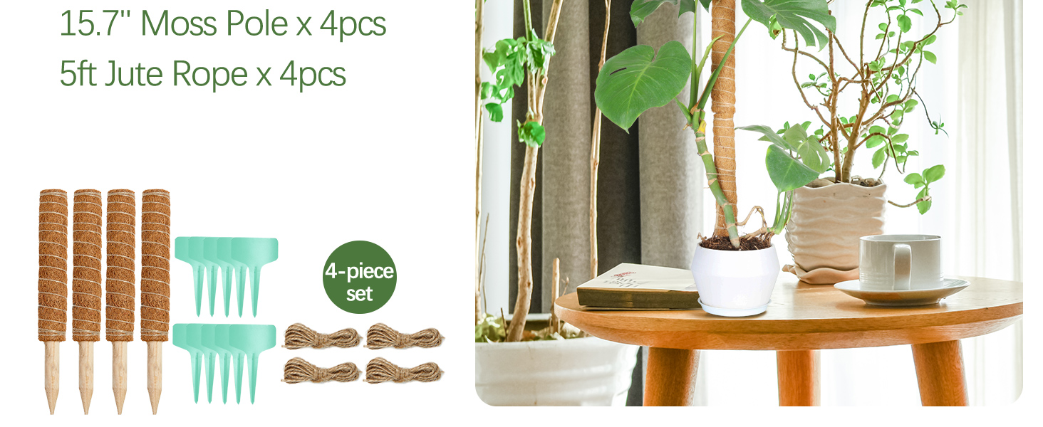 老款椰棕杆高级4只装03