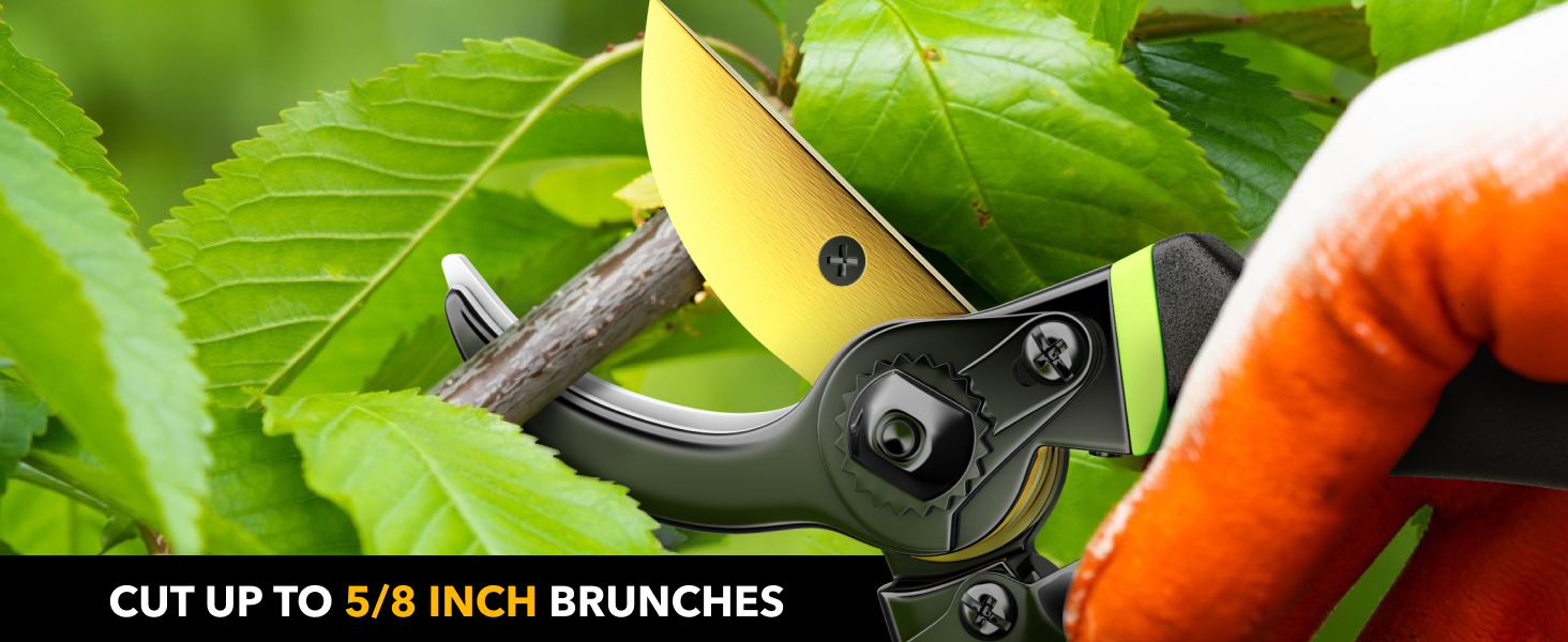 Pruning Shears