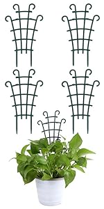 plant trellis