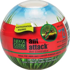 Nema Globe, Ant Attack, Control, Insect, Biological, Nematodes