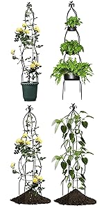 garden plant climbing frame