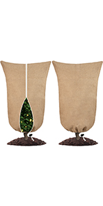 frost plant covers frost protection for plants