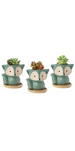 Fox Succulent Pots
