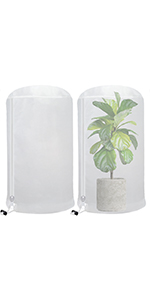 freeze plants cover