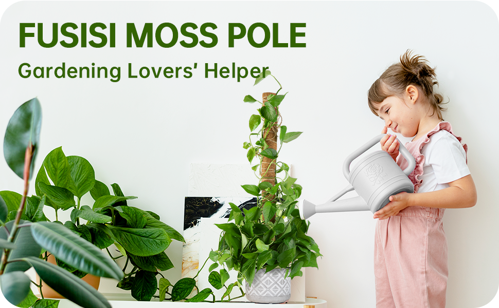 moss poles for plants monstera