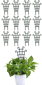 plant trellis