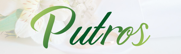 metal arch backdrop stand