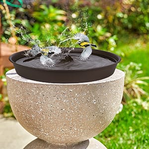 The bird bath tray