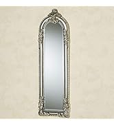 Touch of Class Royal Acanthus Panel Wall Mirror - Resin - Antique Silver - Beveled Glass - Victor...