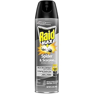 Raid Spider and Scorpion Killer, Kills spiders, scorpions, roaches, ants, Waterbugs, earwigs, 12 oz