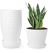 JERIA 10-Pack 7.5" Plastic Plant Pots with Drainage Hole and Trays, Modern Flower Pots for All Ho...